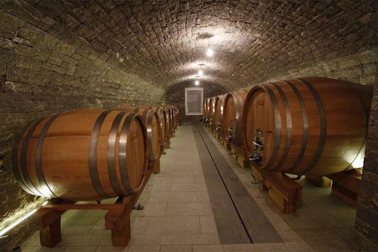 Kmetija Tomazic Vinska Klet - Winery Apartment Vipava Exterior photo